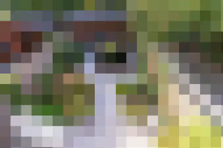 Dorsvlegel 10 Hazerswoude-Dorp thumbnail 14