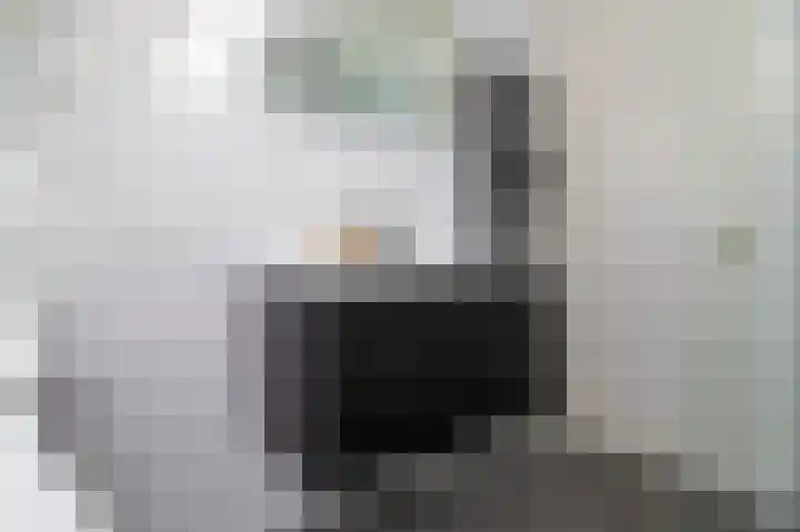 Dorsvlegel 10 Hazerswoude-Dorp thumbnail 18