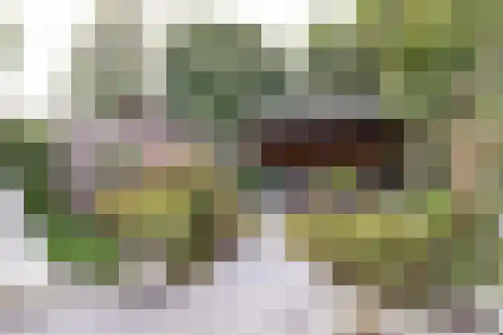 Dorsvlegel 10 Hazerswoude-Dorp thumbnail 20