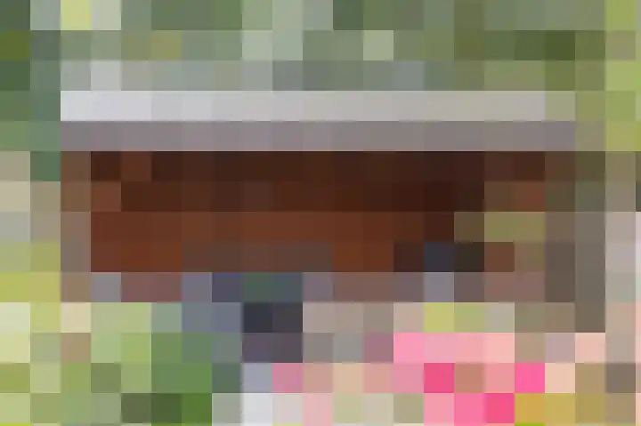 Dorsvlegel 10 Hazerswoude-Dorp thumbnail 21
