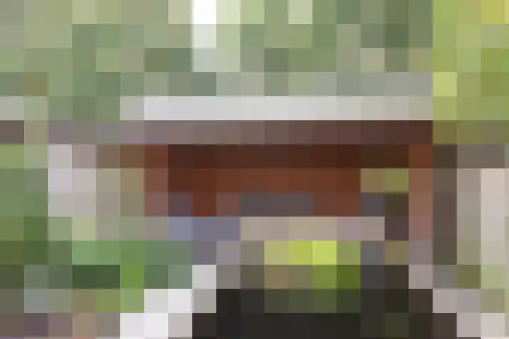 Dorsvlegel 10 Hazerswoude-Dorp thumbnail 22