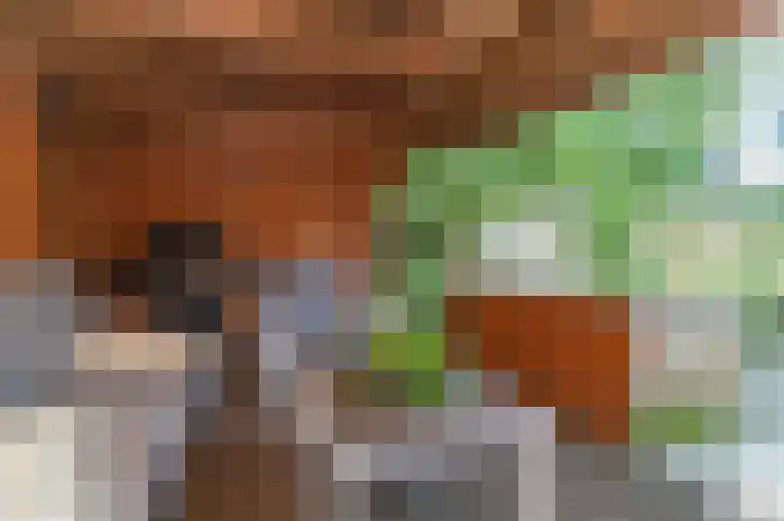Dorsvlegel 10 Hazerswoude-Dorp thumbnail 24