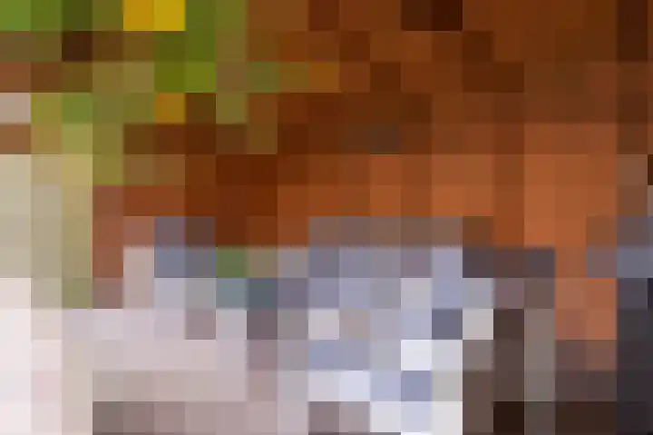 Dorsvlegel 10 Hazerswoude-Dorp thumbnail 25
