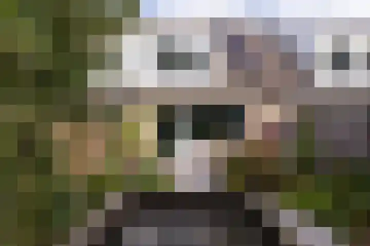Dorsvlegel 10 Hazerswoude-Dorp thumbnail 26