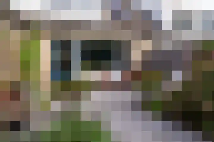 Dorsvlegel 10 Hazerswoude-Dorp thumbnail 27