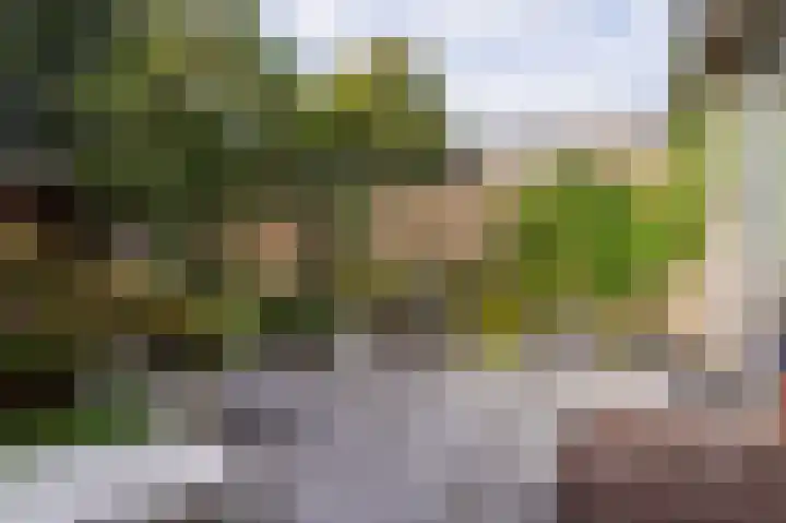 Dorsvlegel 10 Hazerswoude-Dorp thumbnail 28