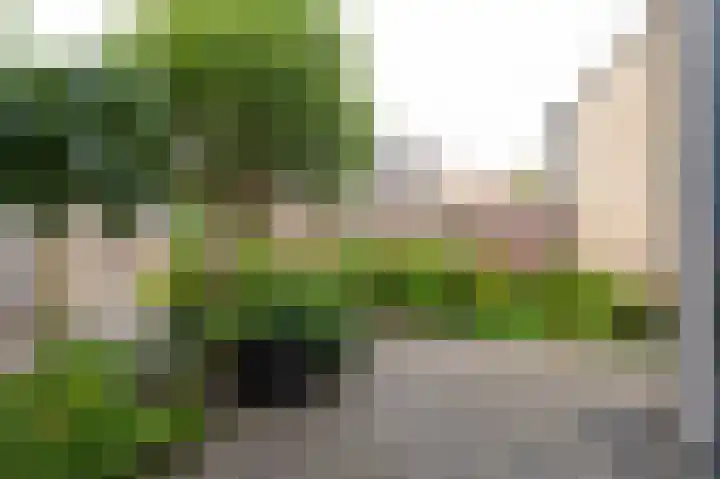 Dorsvlegel 10 Hazerswoude-Dorp thumbnail 29
