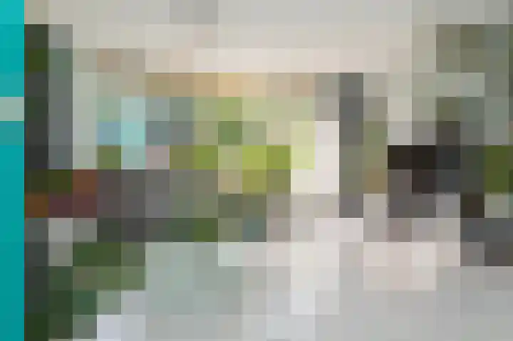 Dorsvlegel 10 Hazerswoude-Dorp thumbnail 6