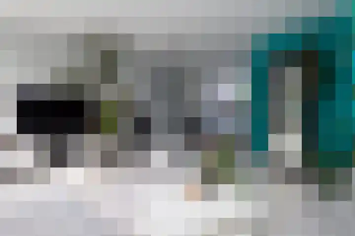 Dorsvlegel 10 Hazerswoude-Dorp thumbnail 7