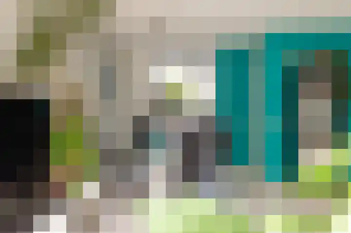 Dorsvlegel 10 Hazerswoude-Dorp thumbnail 9