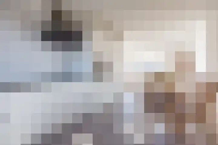 Dorsvlegel 101 Soest thumbnail 14