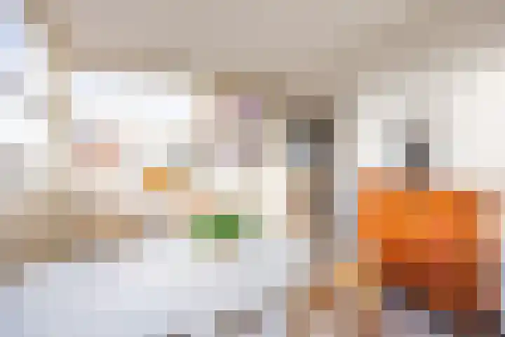 Dorsvlegel 101 Soest thumbnail 18