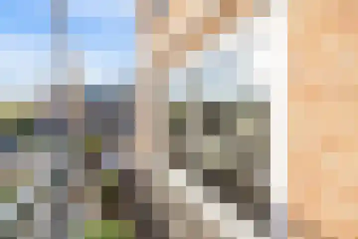Dorsvlegel 101 Soest thumbnail 22