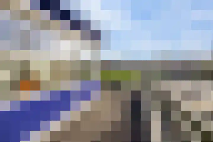 Dorsvlegel 101 Soest thumbnail 24