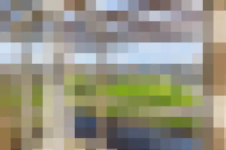 Dorsvlegel 101 Soest thumbnail 28