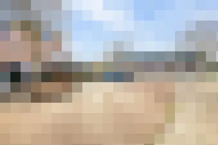 Dorsvlegel 101 Soest thumbnail 38