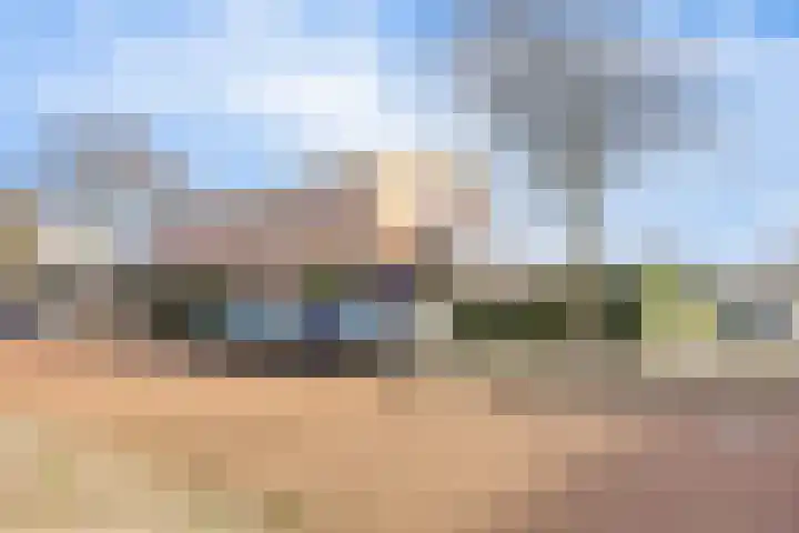 Dorsvlegel 101 Soest thumbnail 39