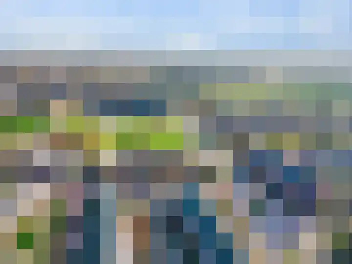 Dorsvlegel 101 Soest thumbnail 4