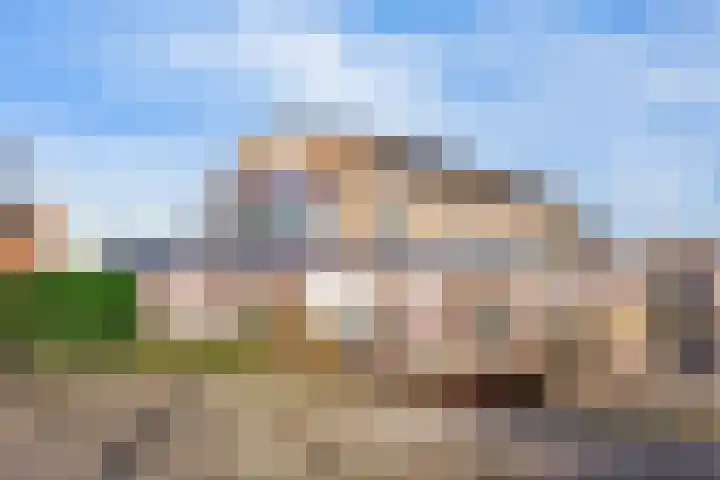 Dorsvlegel 101 Soest thumbnail 40