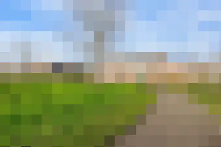 Dorsvlegel 101 Soest thumbnail 41