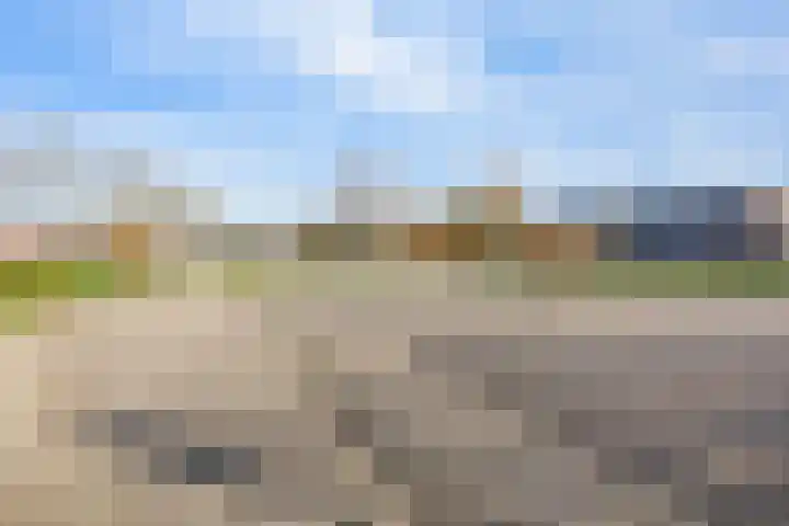 Dorsvlegel 101 Soest thumbnail 42