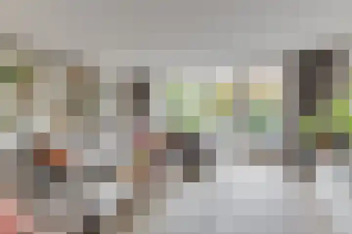 Dorsvlegel 21 Warmenhuizen thumbnail 10