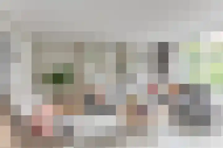 Dorsvlegel 21 Warmenhuizen thumbnail 11