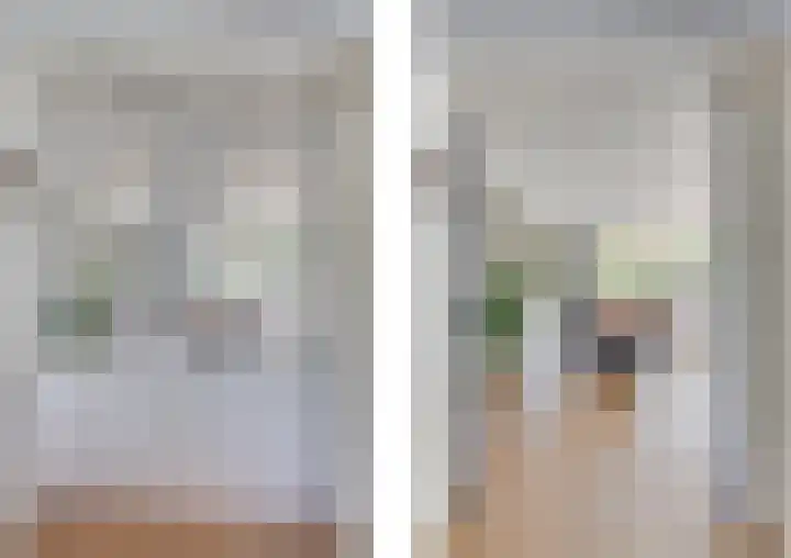Dorsvlegel 21 Warmenhuizen thumbnail 14