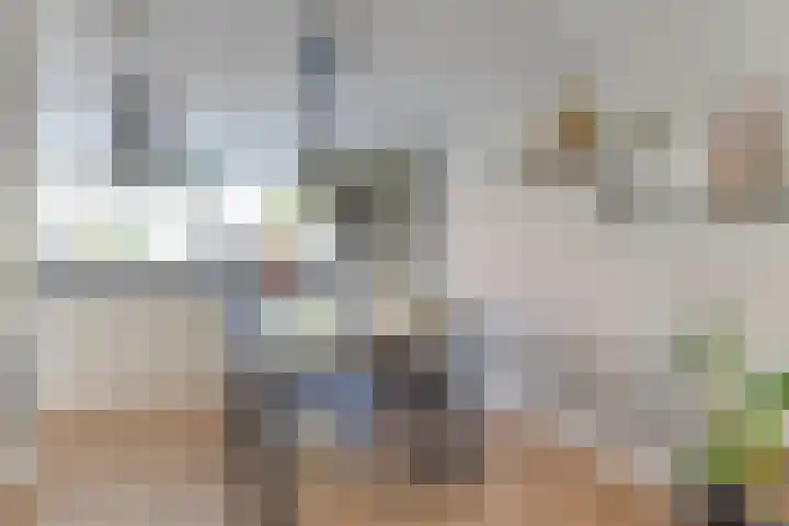 Dorsvlegel 21 Warmenhuizen thumbnail 15