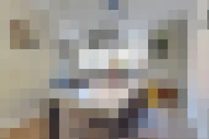 Dorsvlegel 21 Warmenhuizen thumbnail 16