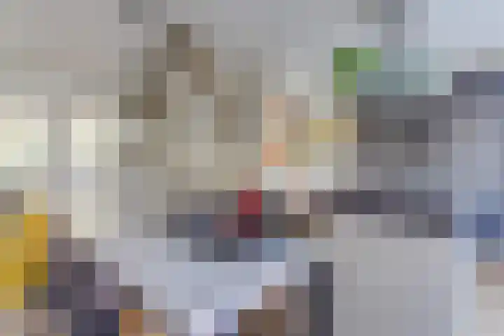Dorsvlegel 21 Warmenhuizen thumbnail 17
