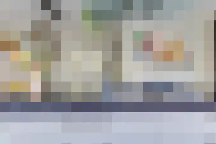 Dorsvlegel 21 Warmenhuizen thumbnail 18