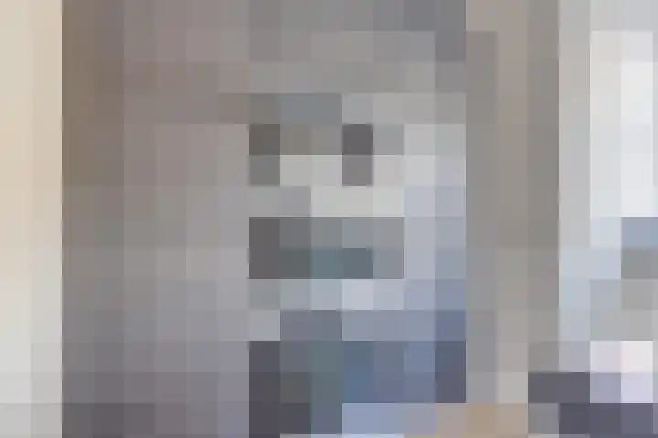 Dorsvlegel 21 Warmenhuizen thumbnail 19