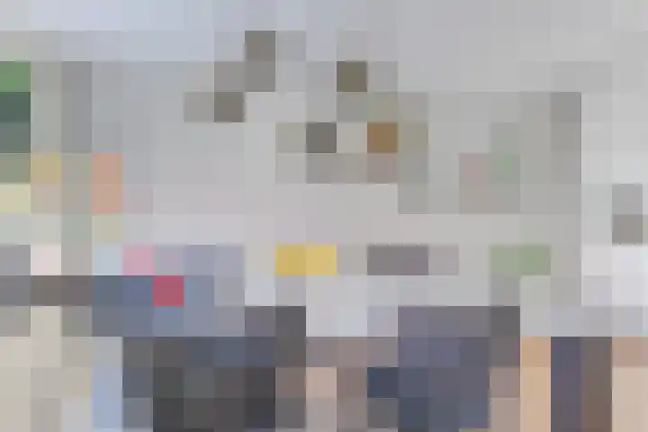 Dorsvlegel 21 Warmenhuizen thumbnail 22