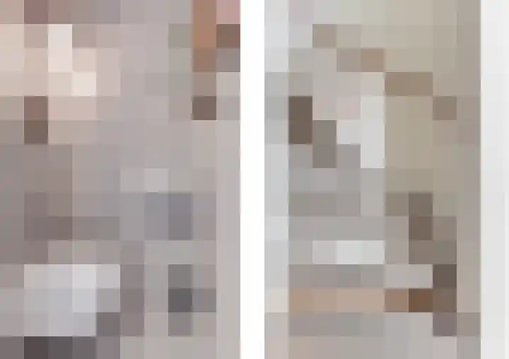 Dorsvlegel 21 Warmenhuizen thumbnail 24