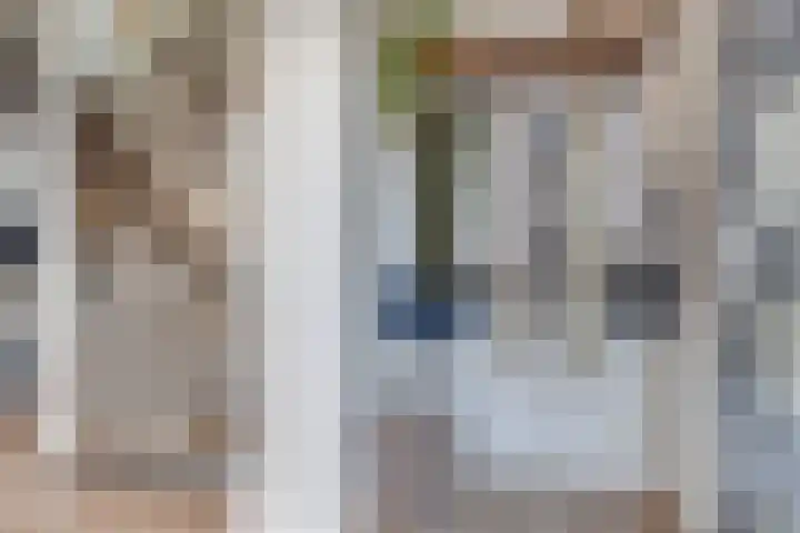Dorsvlegel 21 Warmenhuizen thumbnail 25