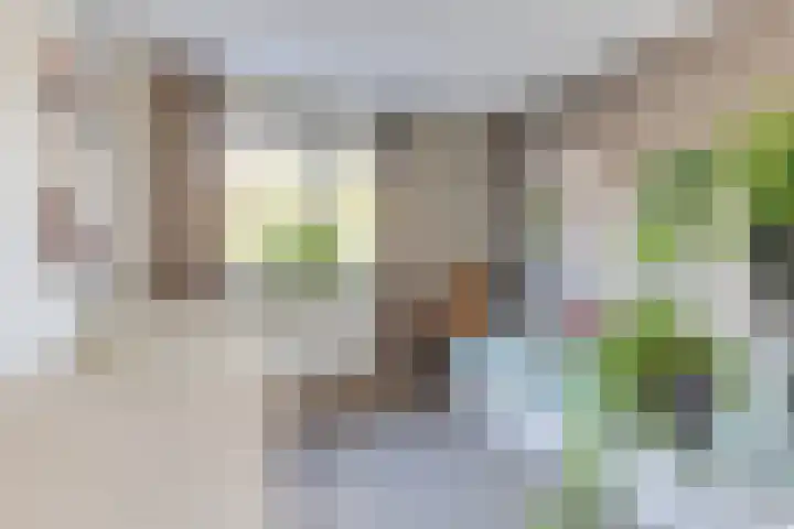 Dorsvlegel 21 Warmenhuizen thumbnail 27