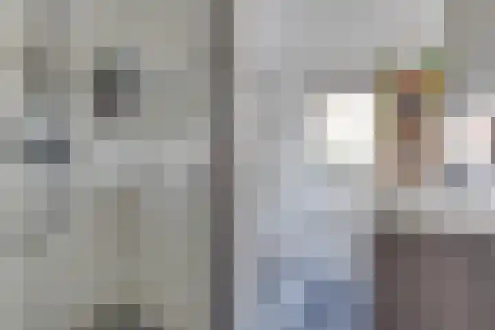 Dorsvlegel 21 Warmenhuizen thumbnail 29