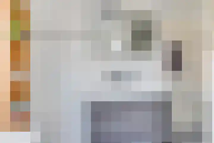 Dorsvlegel 21 Warmenhuizen thumbnail 31