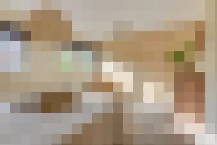 Dorsvlegel 21 Warmenhuizen thumbnail 35