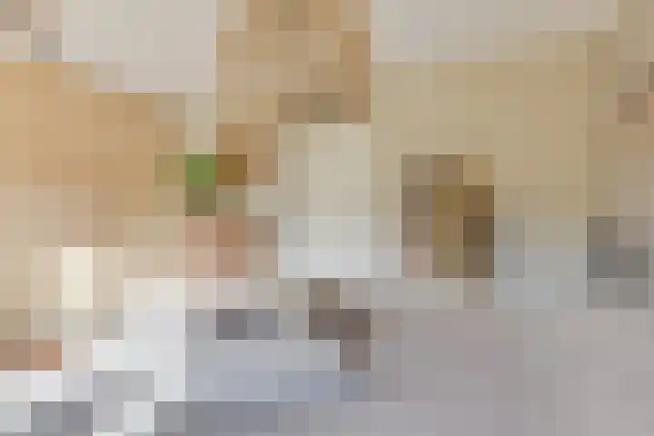 Dorsvlegel 21 Warmenhuizen thumbnail 36