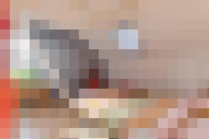 Dorsvlegel 21 Warmenhuizen thumbnail 39