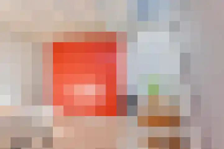 Dorsvlegel 21 Warmenhuizen thumbnail 41