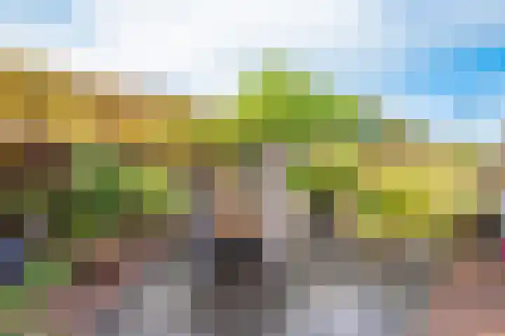 Dorsvlegel 21 Warmenhuizen thumbnail 44