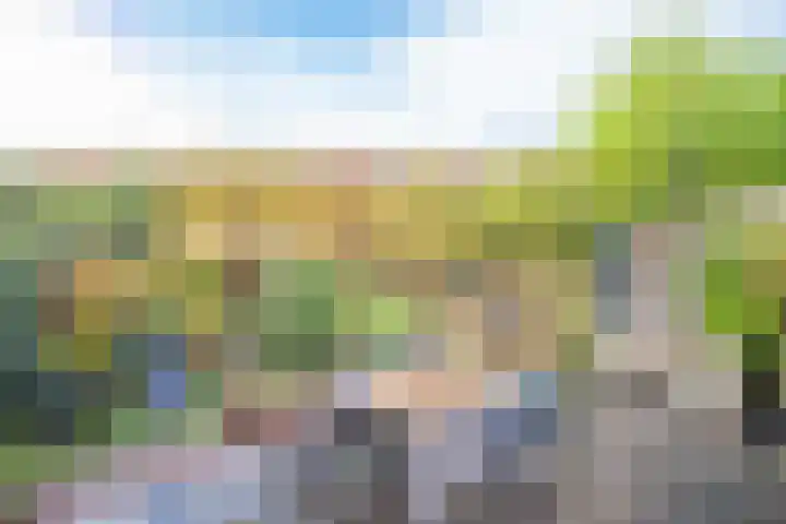 Dorsvlegel 21 Warmenhuizen thumbnail 45