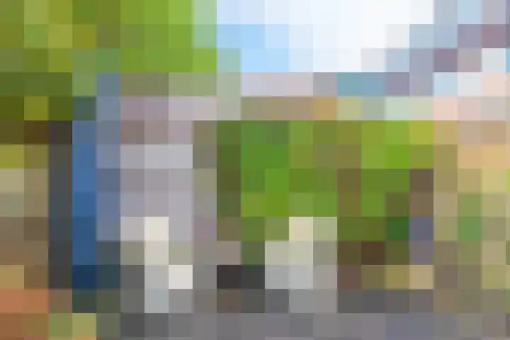 Dorsvlegel 21 Warmenhuizen thumbnail 46