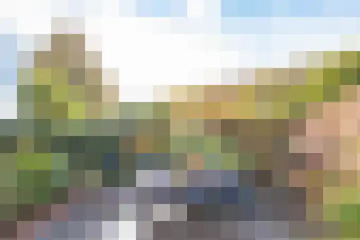 Dorsvlegel 21 Warmenhuizen thumbnail 47