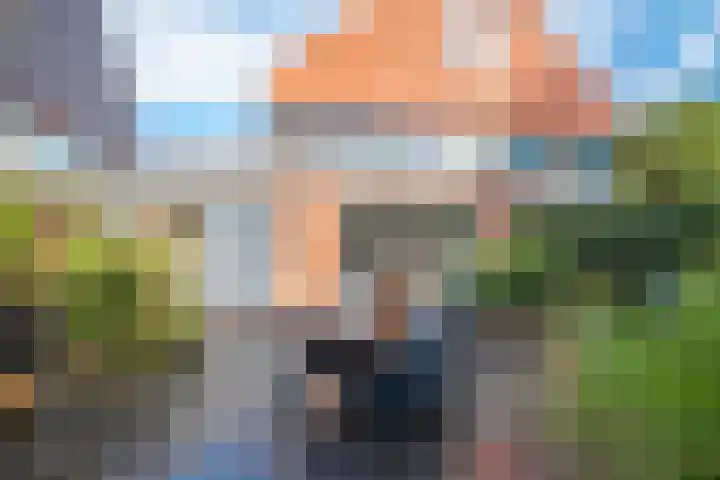 Dorsvlegel 21 Warmenhuizen thumbnail 48