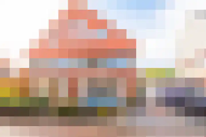 Dorsvlegel 21 Warmenhuizen thumbnail 50