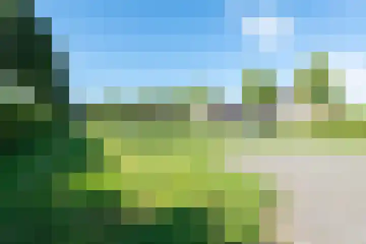 Dorsvlegel 21 Warmenhuizen thumbnail 51